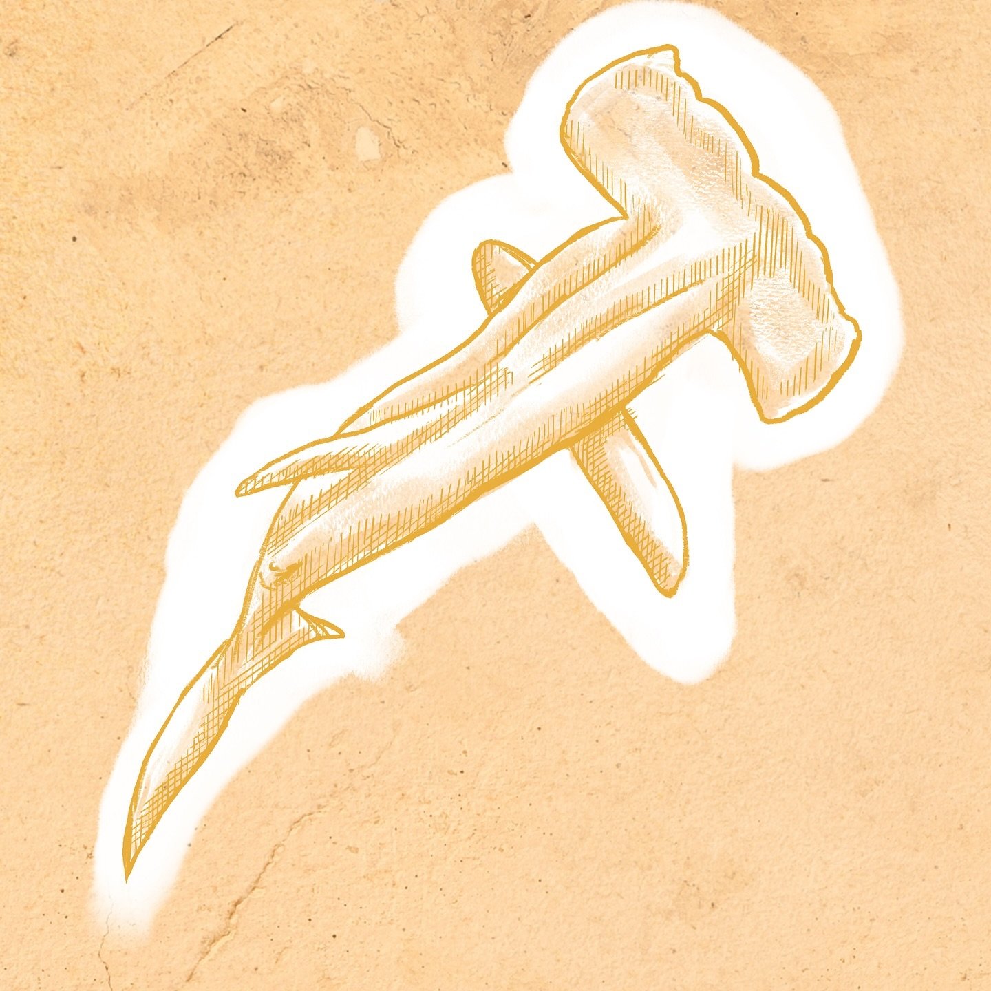 Day 27: Shark π¦