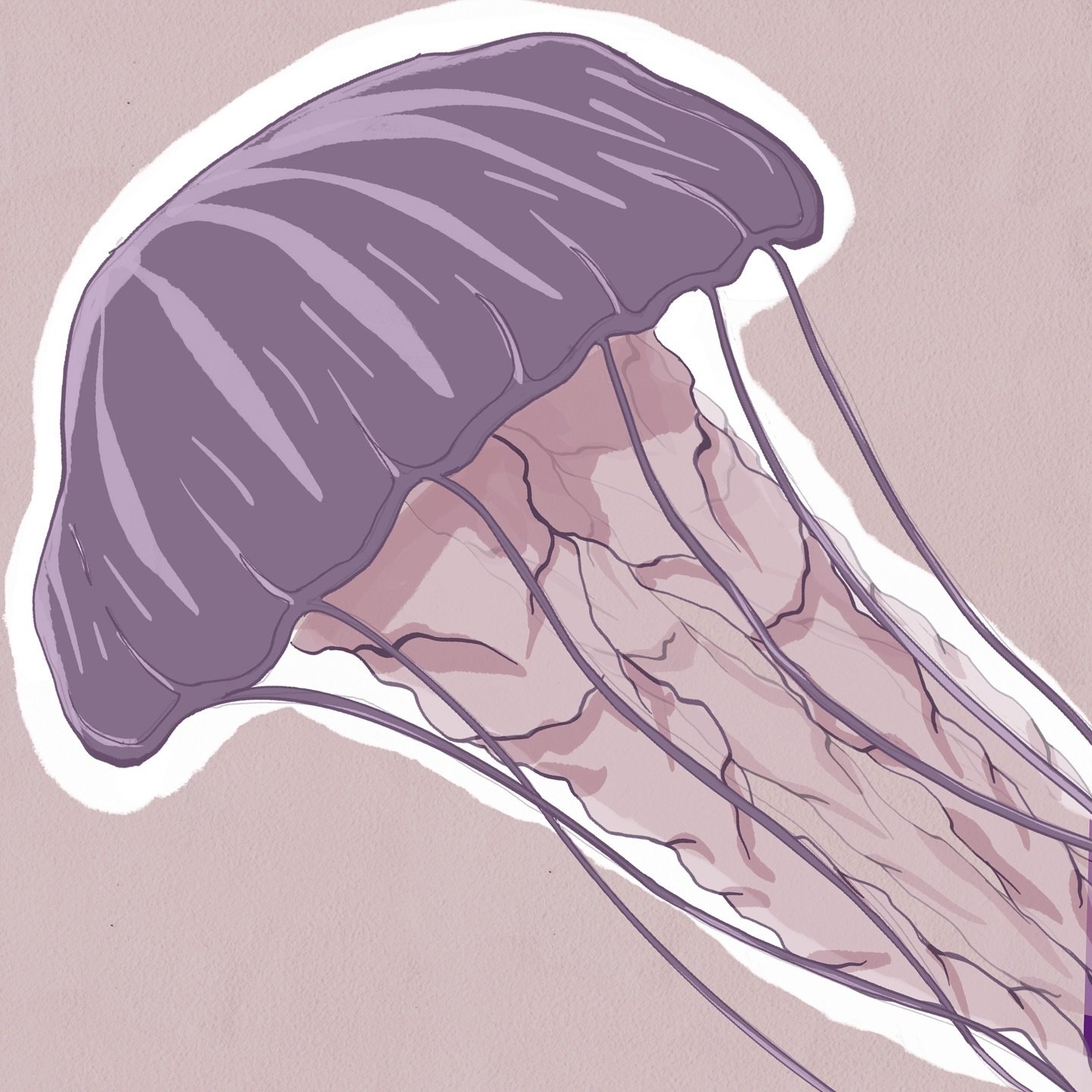 Day 19: Jellyfish πͺΌ