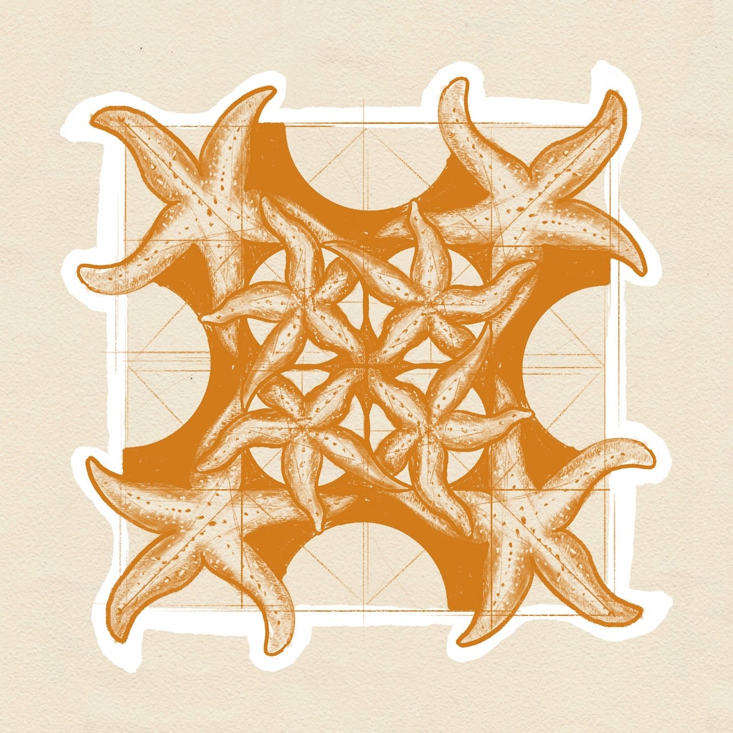 Day 17: Sea Star βοΈ