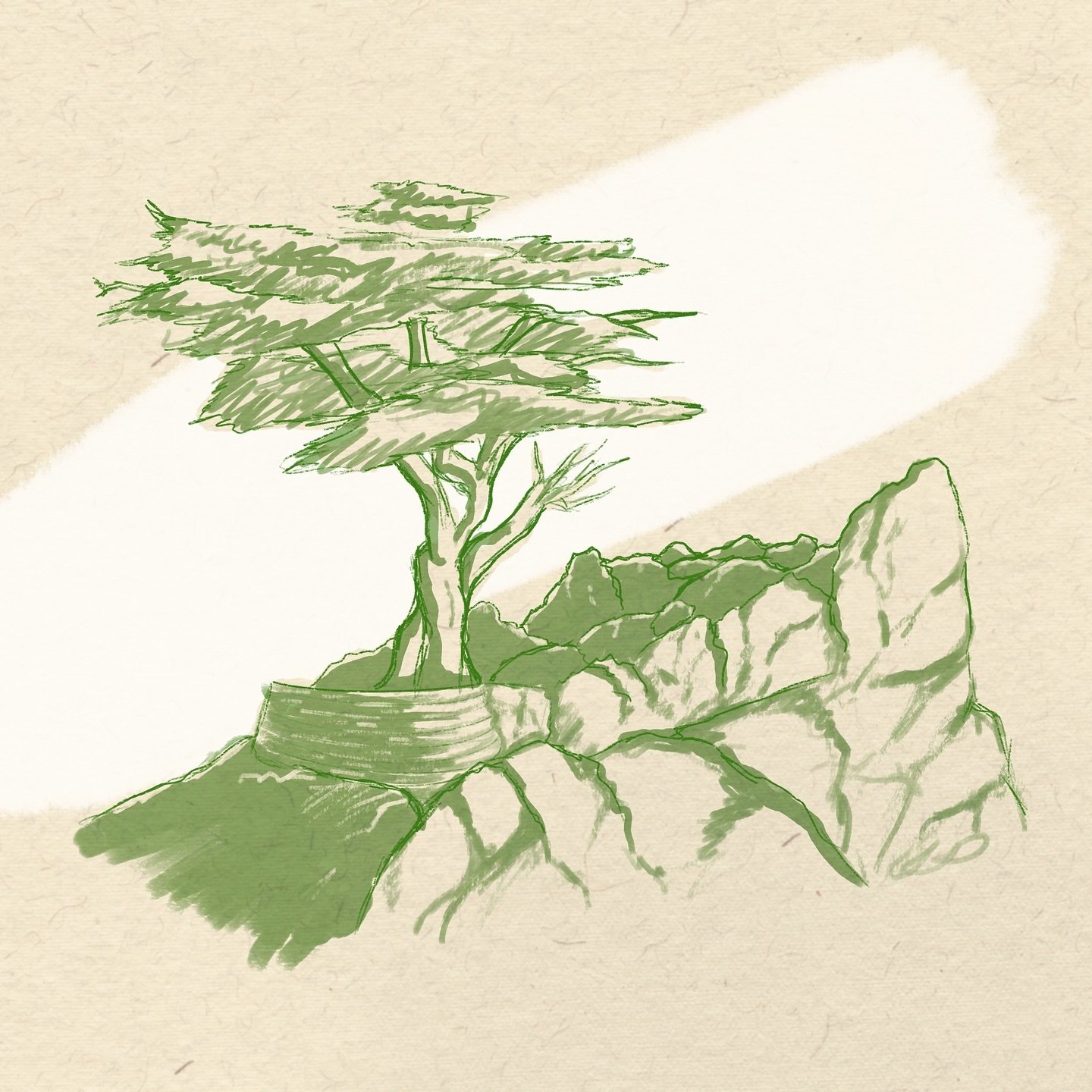 Day 12: Beach Rock ποΈ