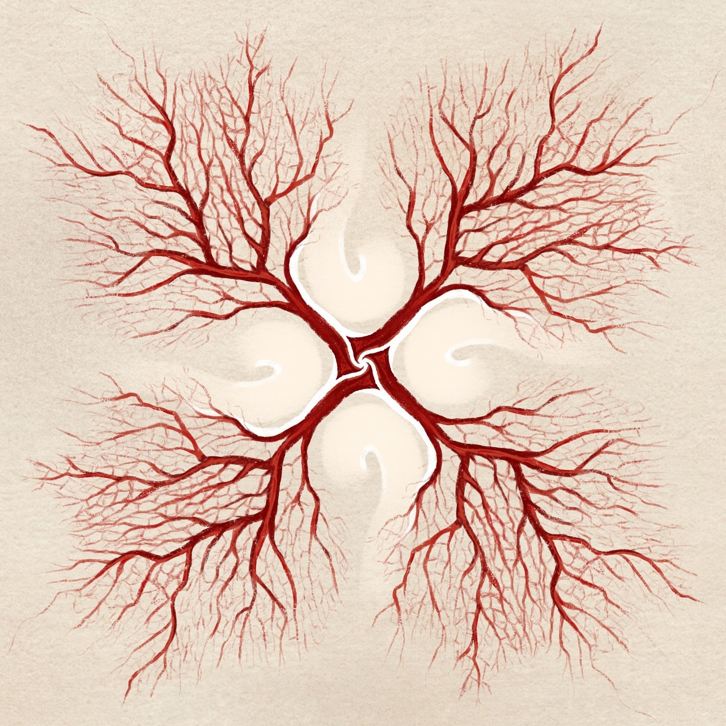 Day 10: Sea Fan π¦