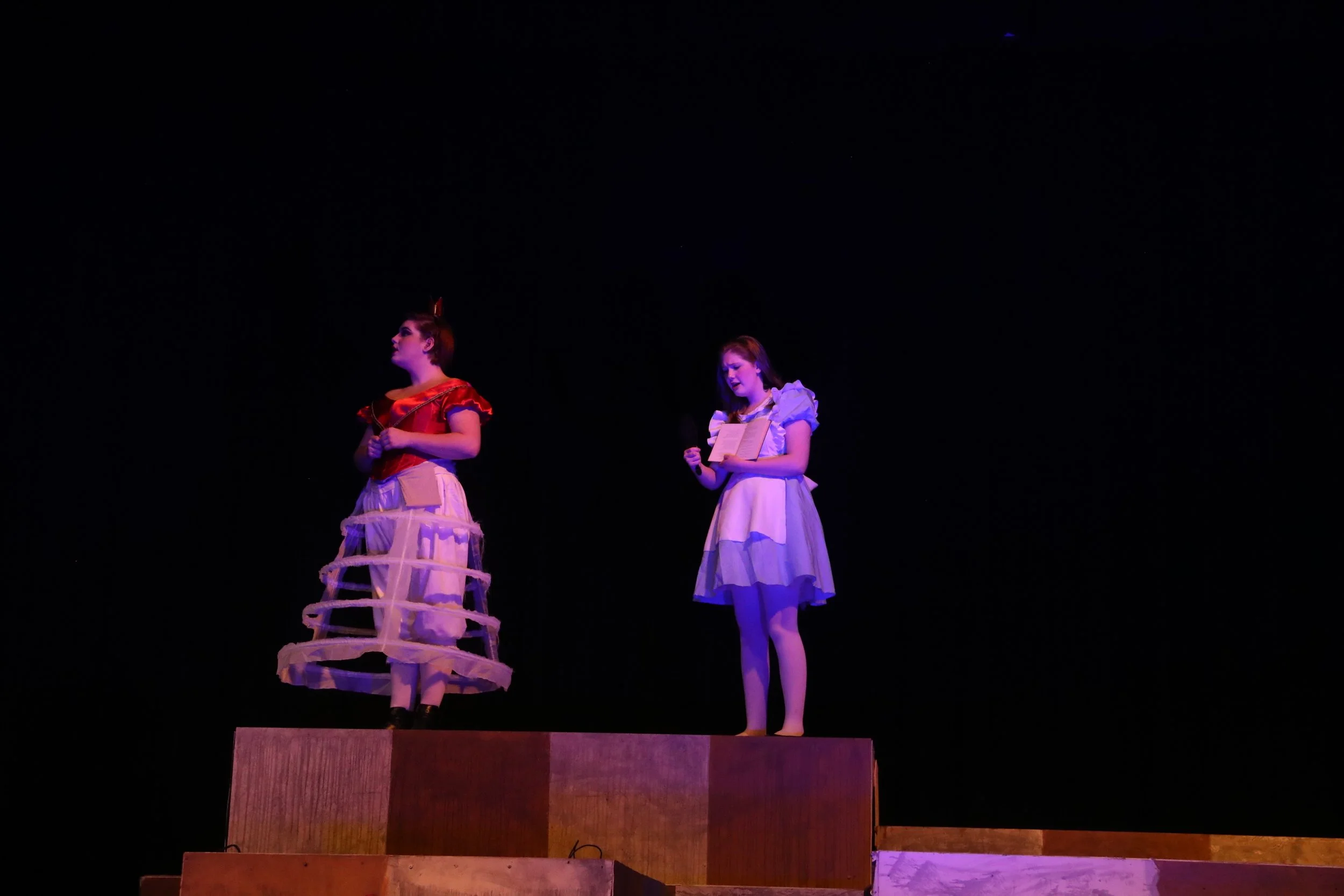 Alice In Wonderland: Alice and the Red Queen