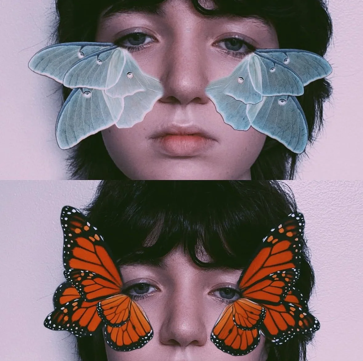 Previsualization for "The Monarch" 2/2