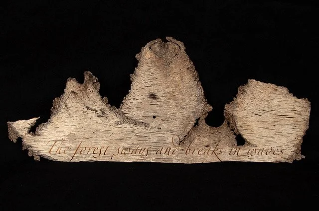 Lee Upton and Jim Toia, The Never Lost Forest, Hunterdon Art Museum