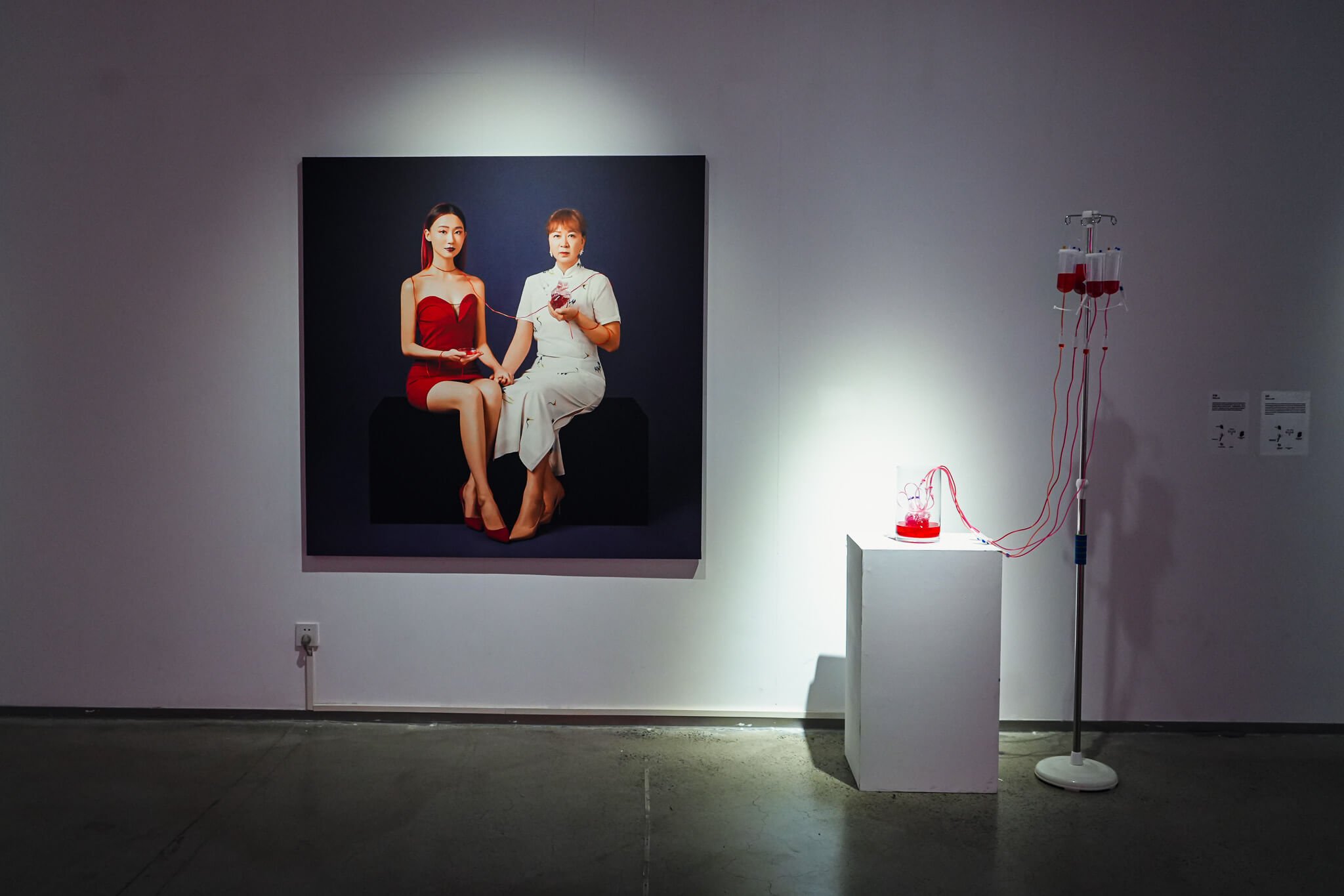  Gift 2024 3D bioprinting, photography, scientific experiment