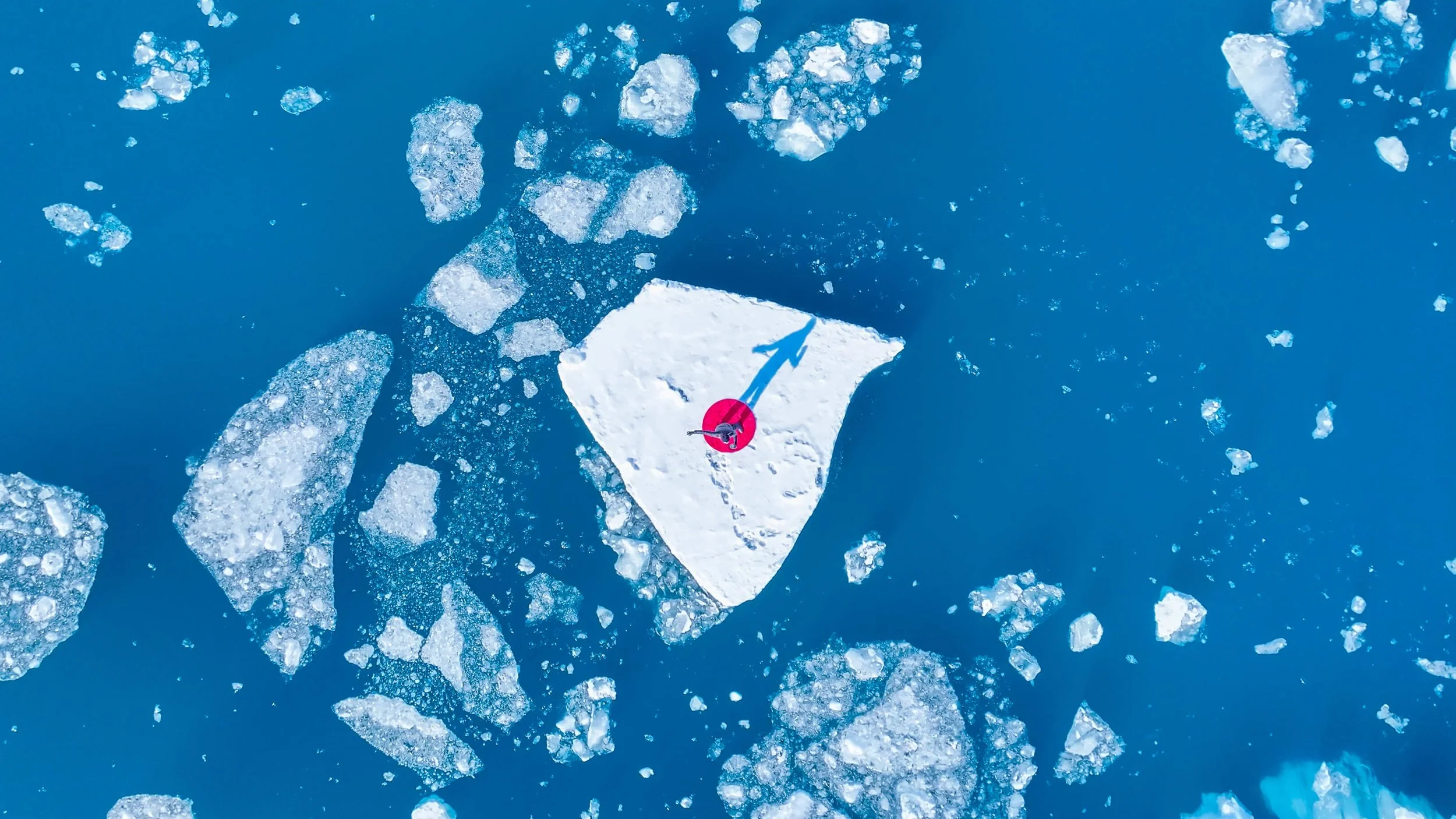 Could an Arctic Fox Give a TED Talk? 2025 Performance, video