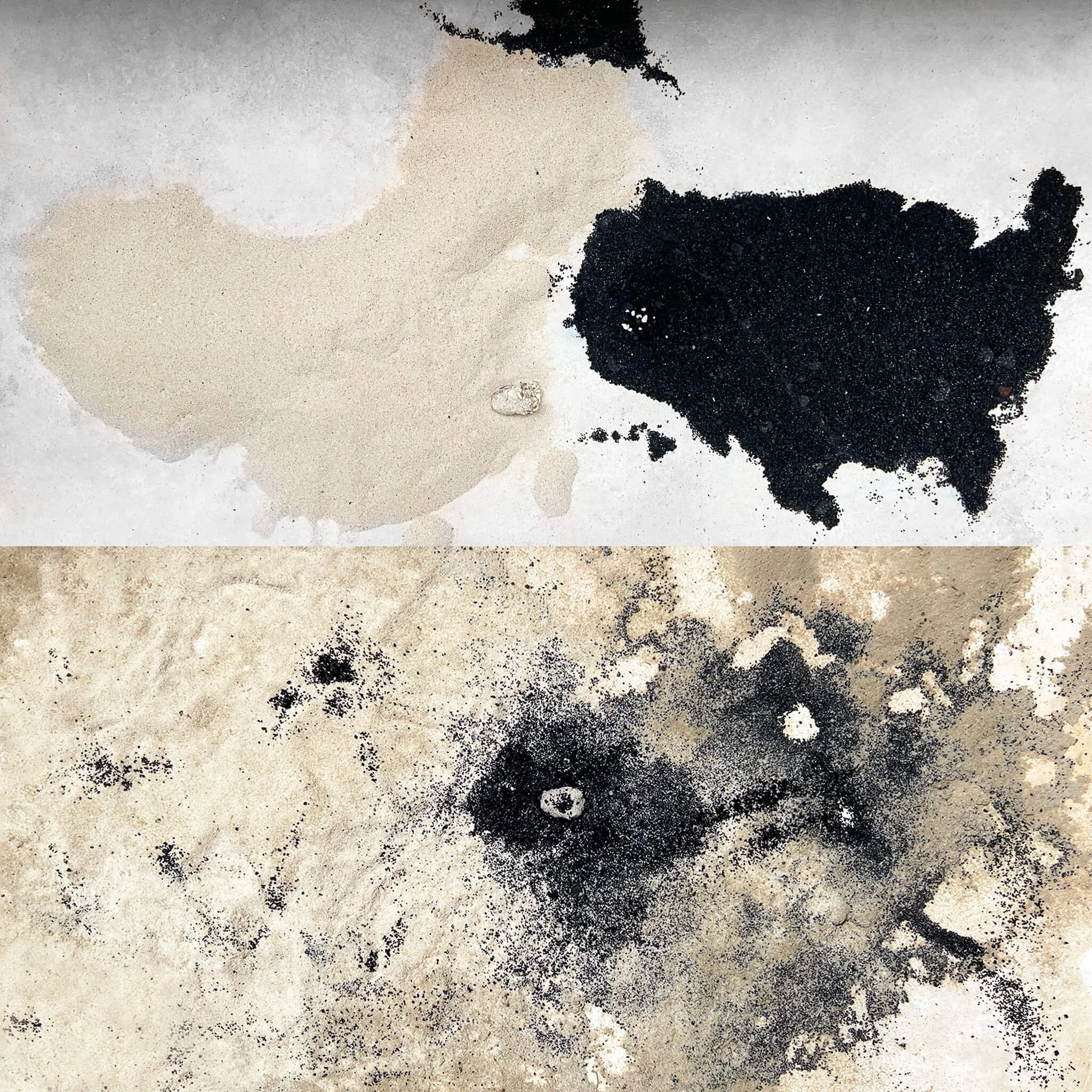 Squid Map 2022 Video installation, Before and After