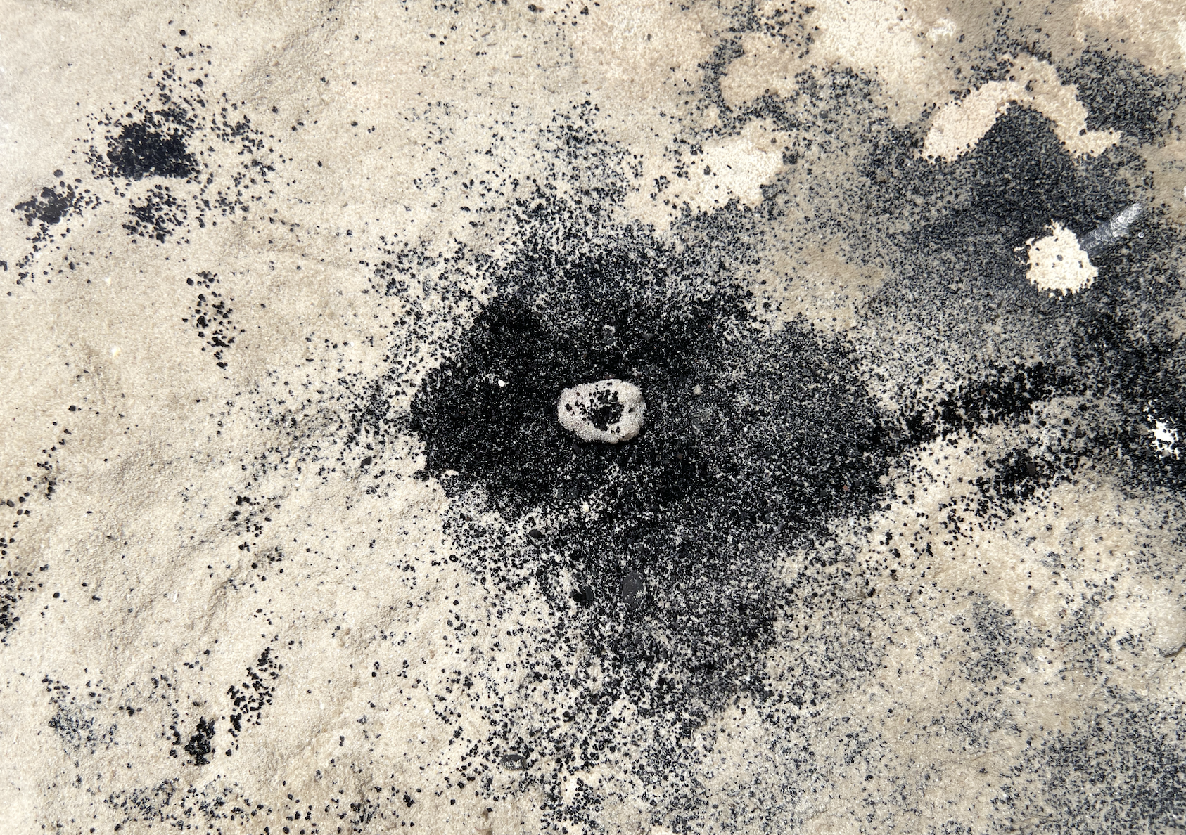 Squid Map 2022 Video installation, After