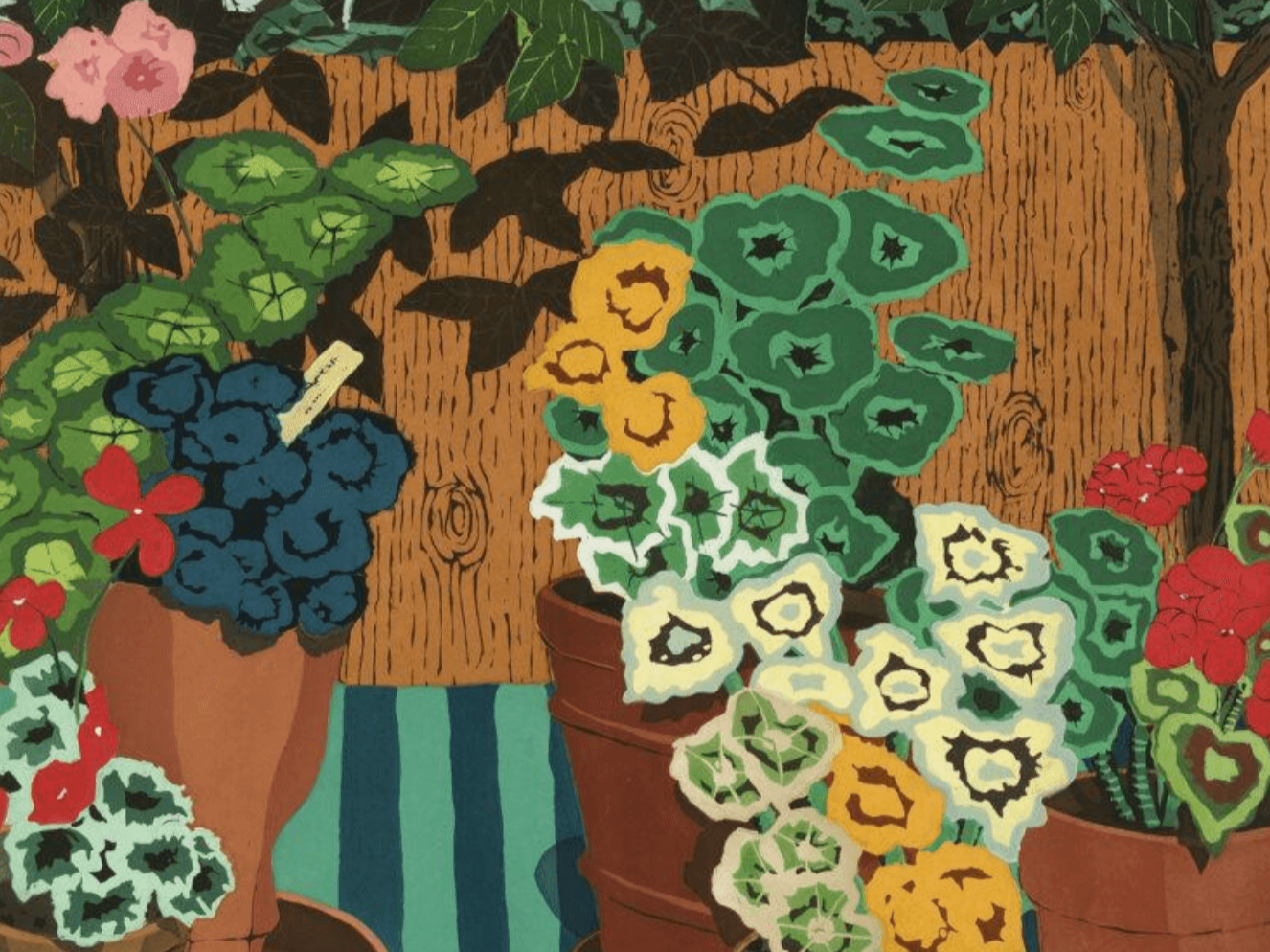 Hilary Pecis, Geraniums and Camellias, Crown Point Press