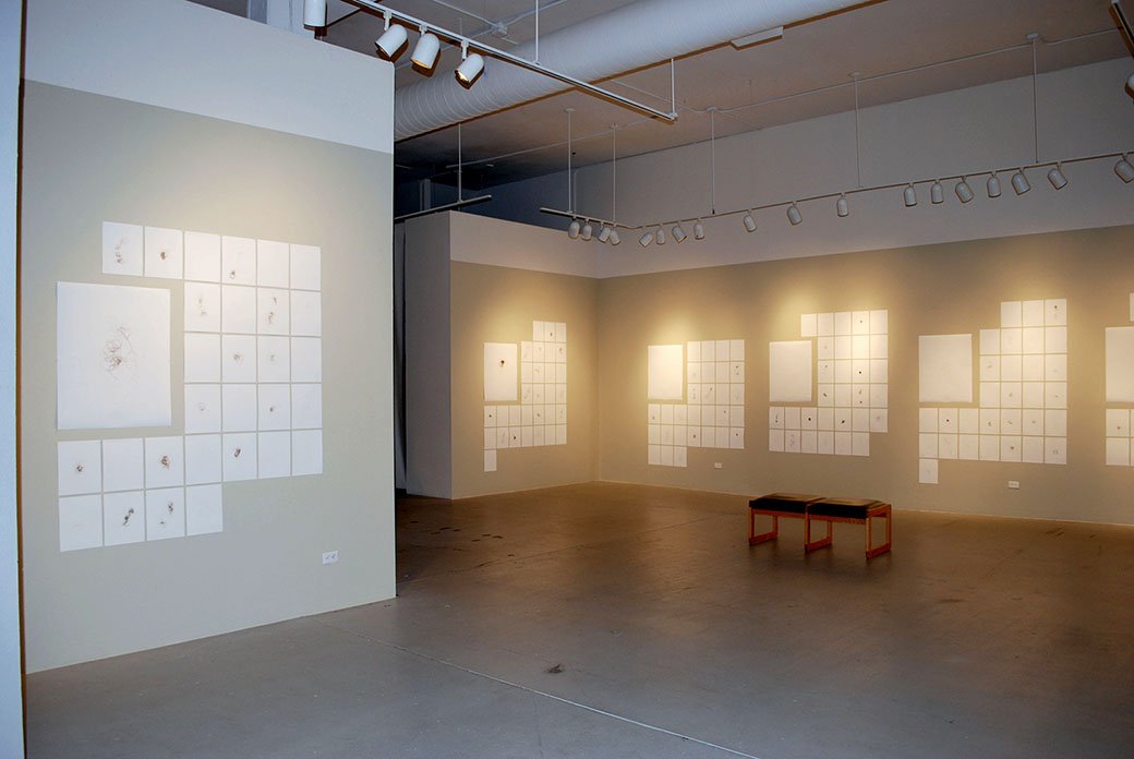 Installation View Gallery for Visual Arts Denver, CO 2009