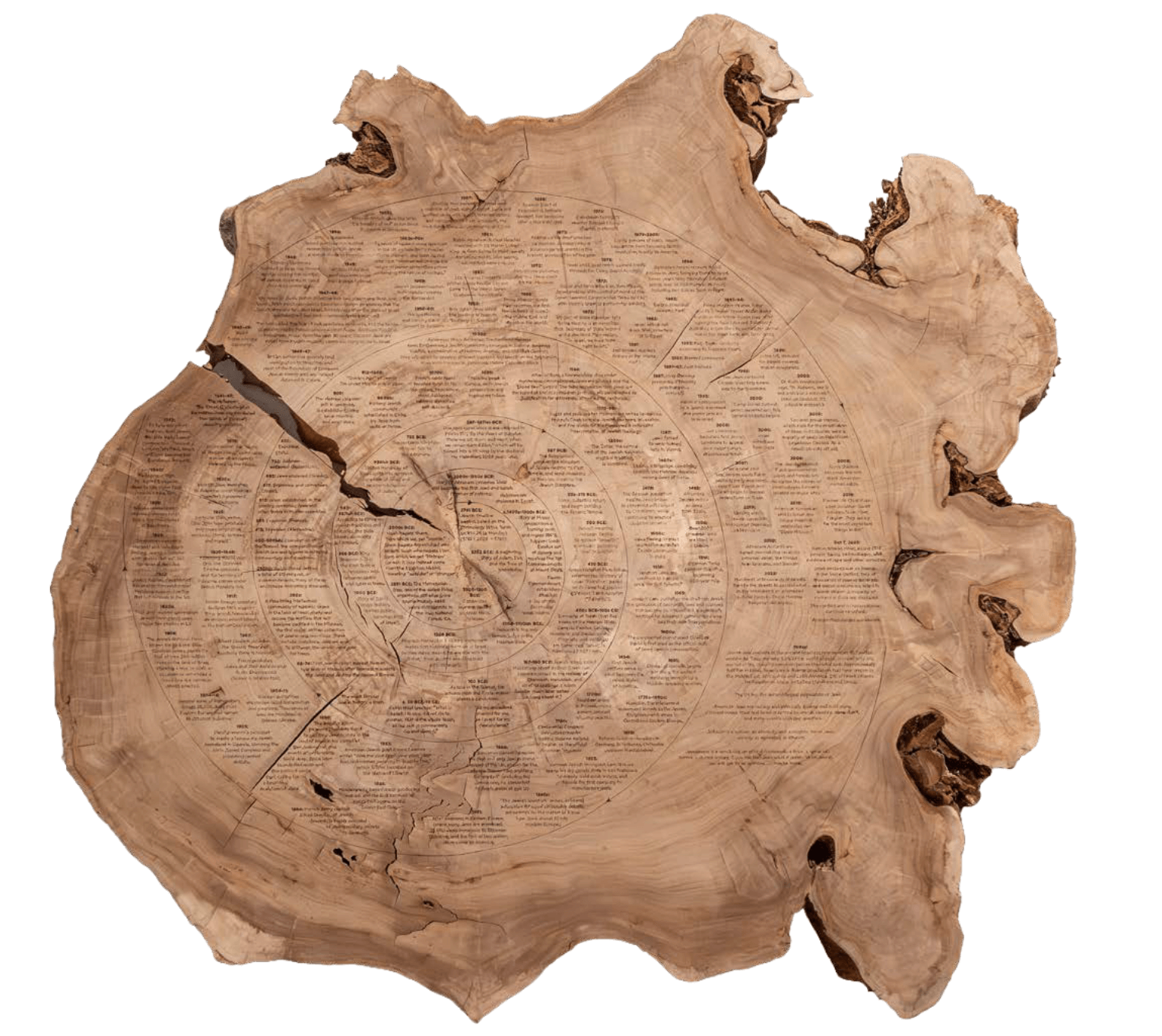 Tiffany Shlain and Ken Goldberg DendroJudaeology: A Timeline of the Jewish People 62 in. x 3 in. Reclaimed poplar wood EV 3/18 + 2AP 2024