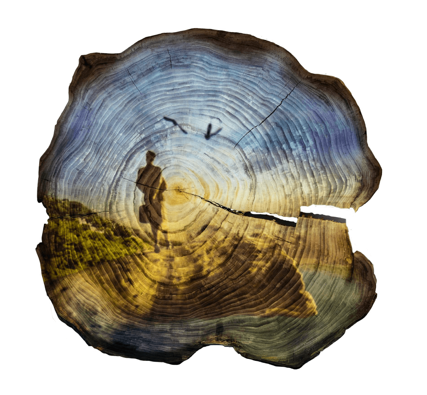 Tiffany Shlain A Female Gaze into History 34 in. x 38 in. x 2.25 in. Three-minute time-based artwork, film projected onto elm wood EV 1/3 + 2 AP 2024