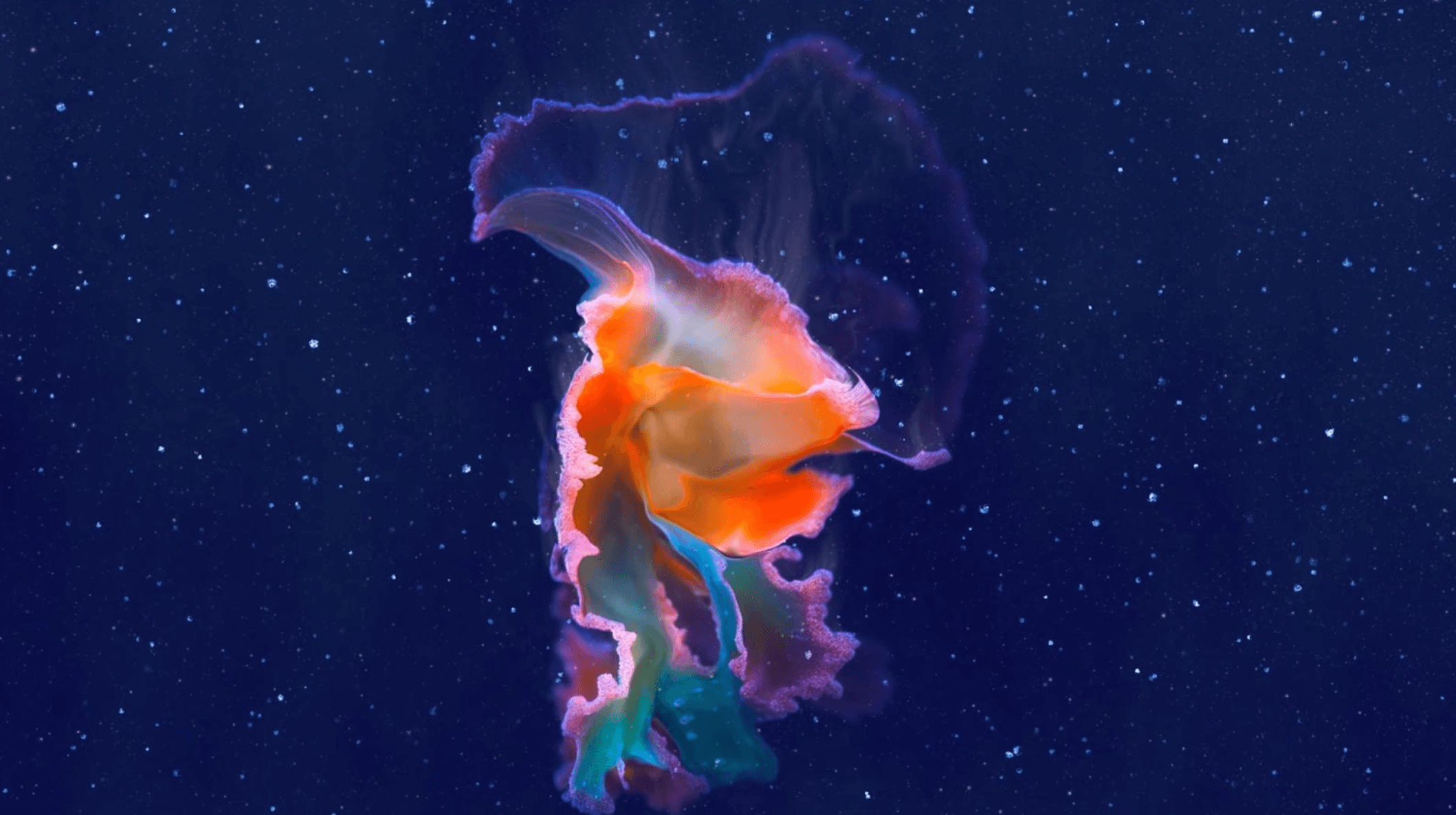 Superradiance, Memo Akten and Katie Hofstadter, Gray Area