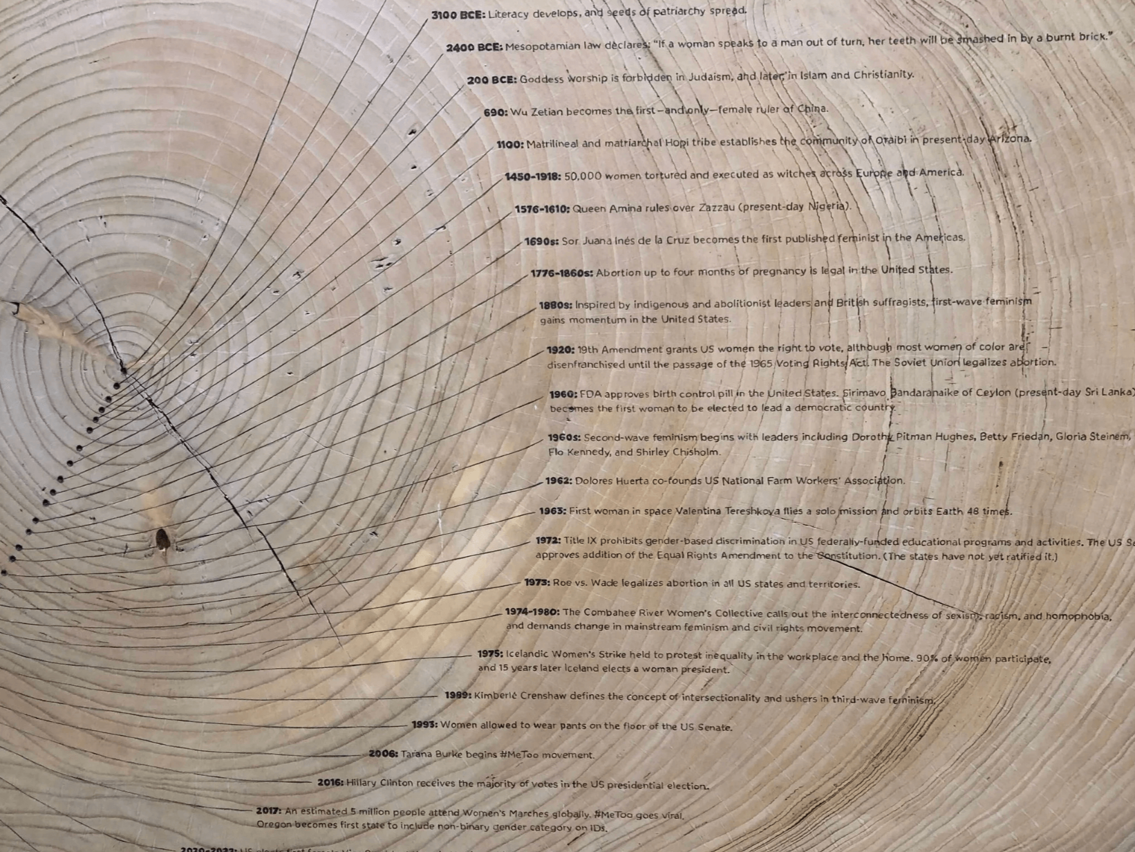 Ken Goldberg and Tiffany Shlain, Ancient Wisdom for a Future Ecology: Trees, Time, and Technology, di Rosa San Francisco 