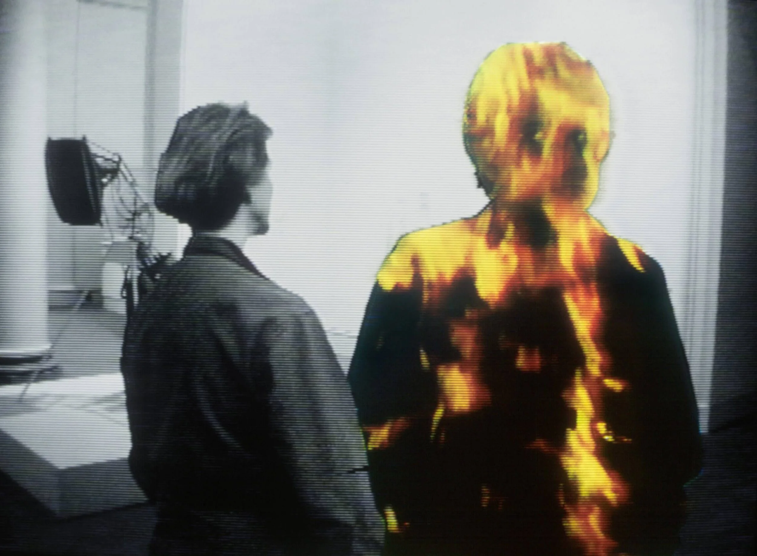 Hallucination, 1990 Dimensions Variable