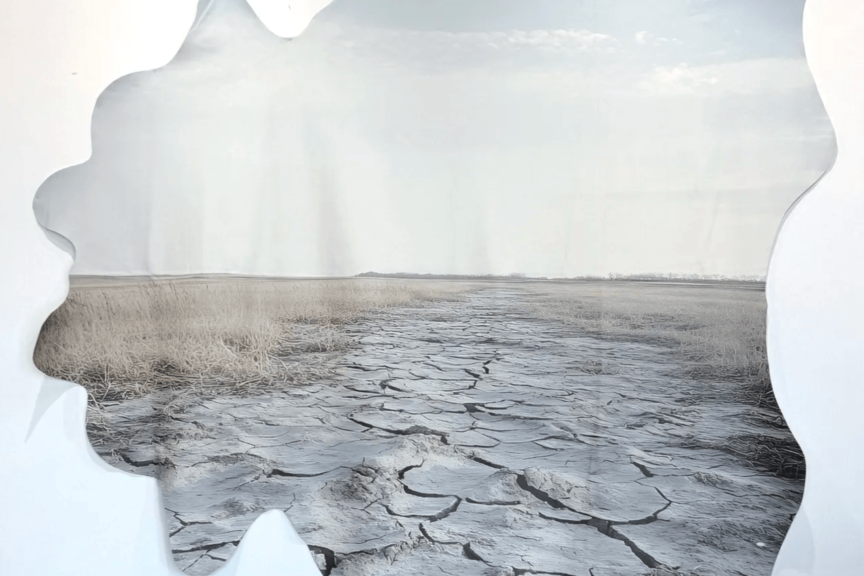 Run Fast, Bite Hard, Catharine Clark Gallery