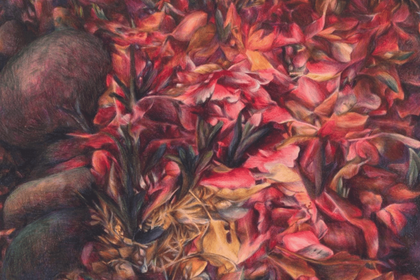Ara Hao, Close Desire, SWIM Gallery