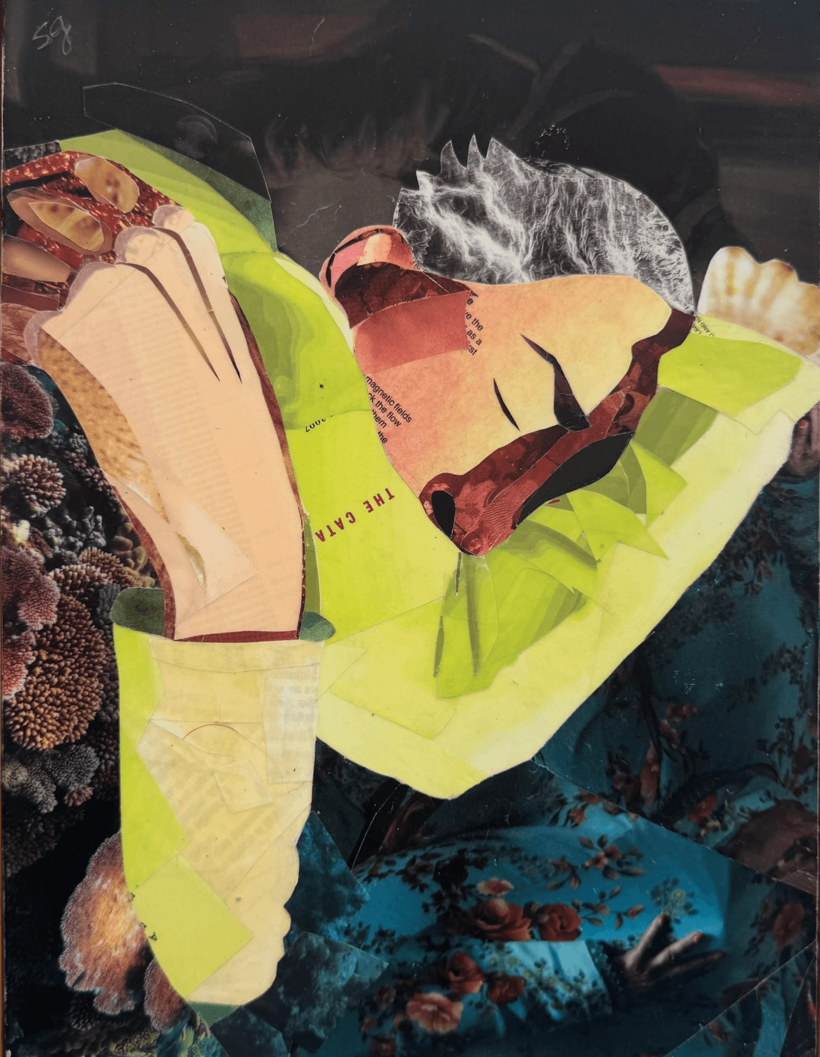 Sonia Gill, Snug as a Bug, 2025, paper on canvas, 12 x 9