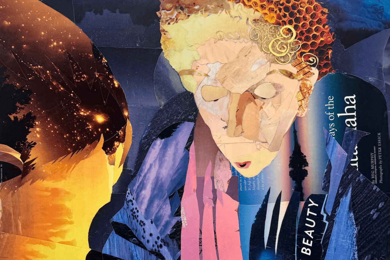 Sonia Gill, Memento Vivere, Transmission Gallery