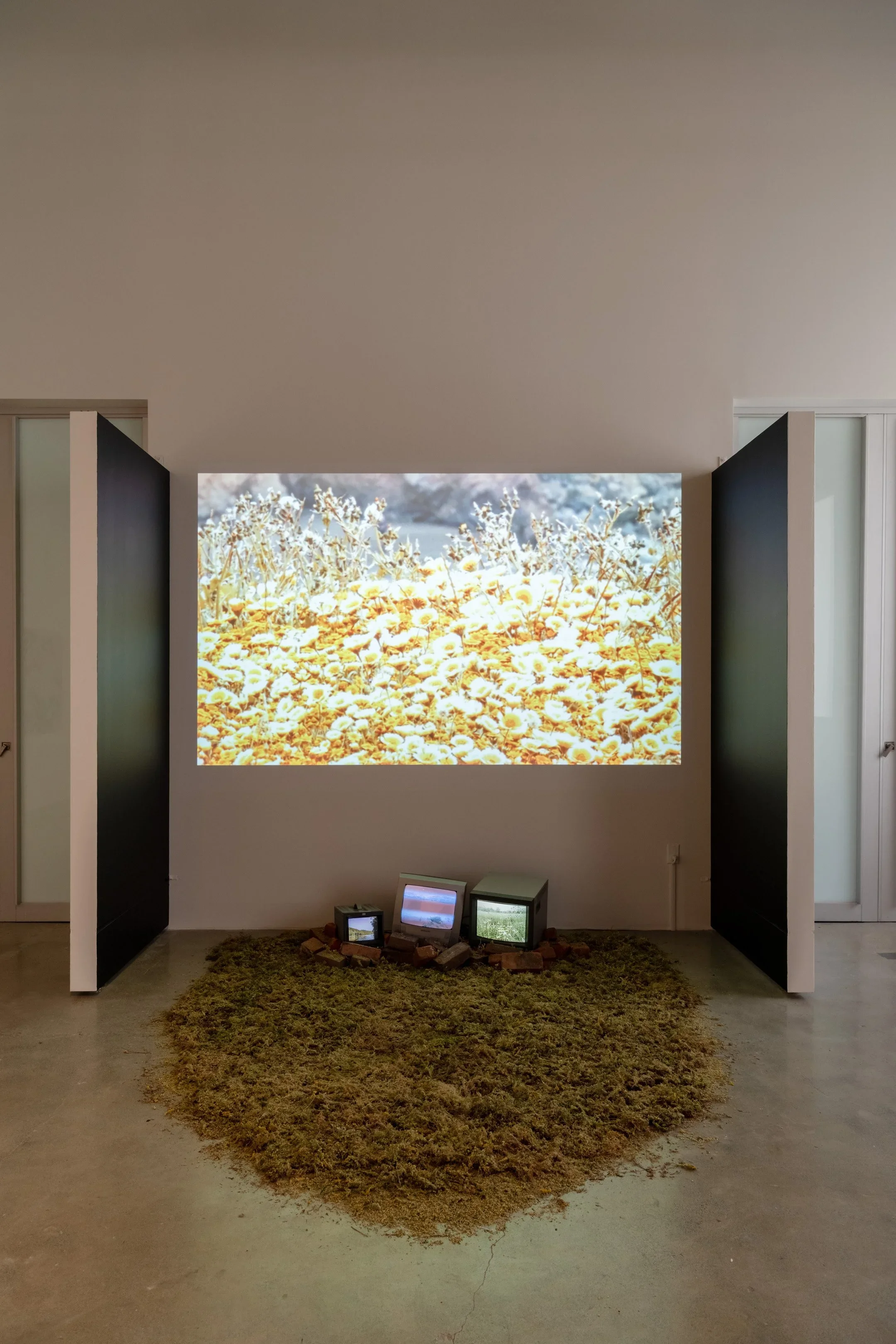 Praxis of Local Knowledge San Francisco Art Commission Main Gallery. Trina Michelle Robinson
