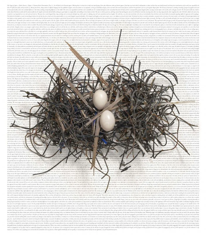 birds nest resting on a book page