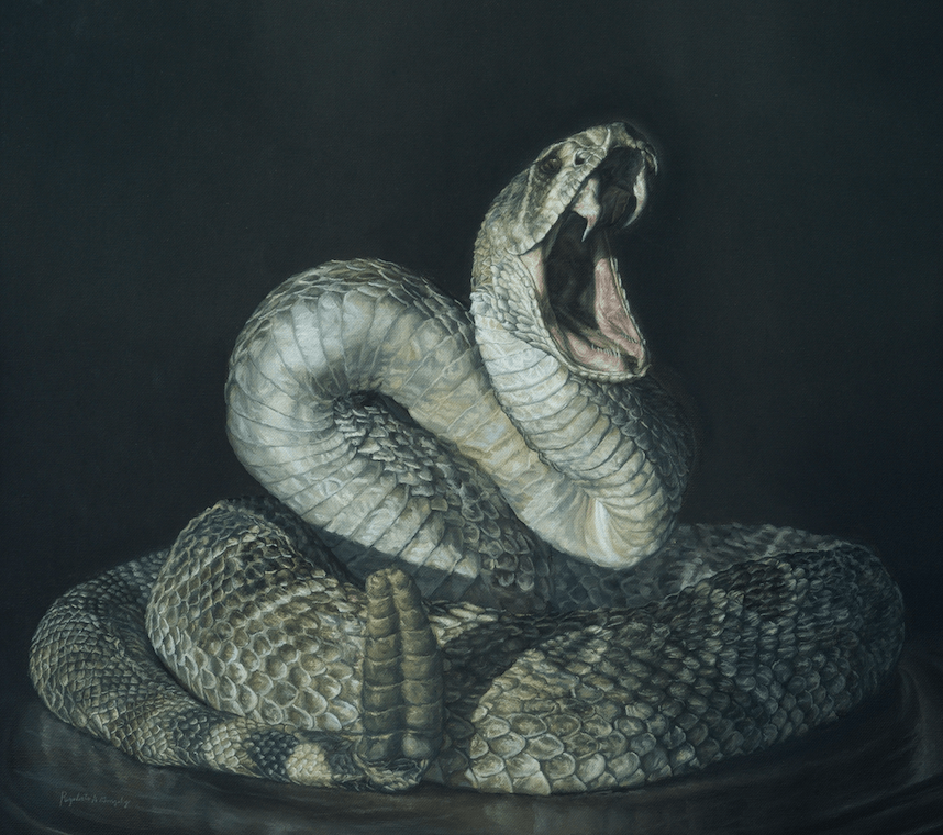 painting of a rattlesnake