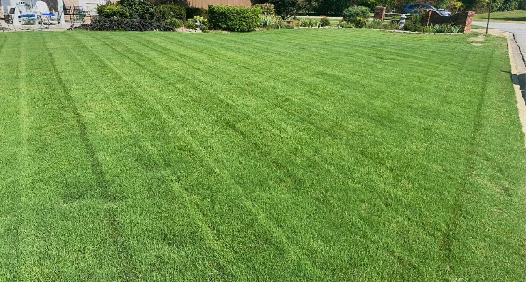 Perfectly mowed grass