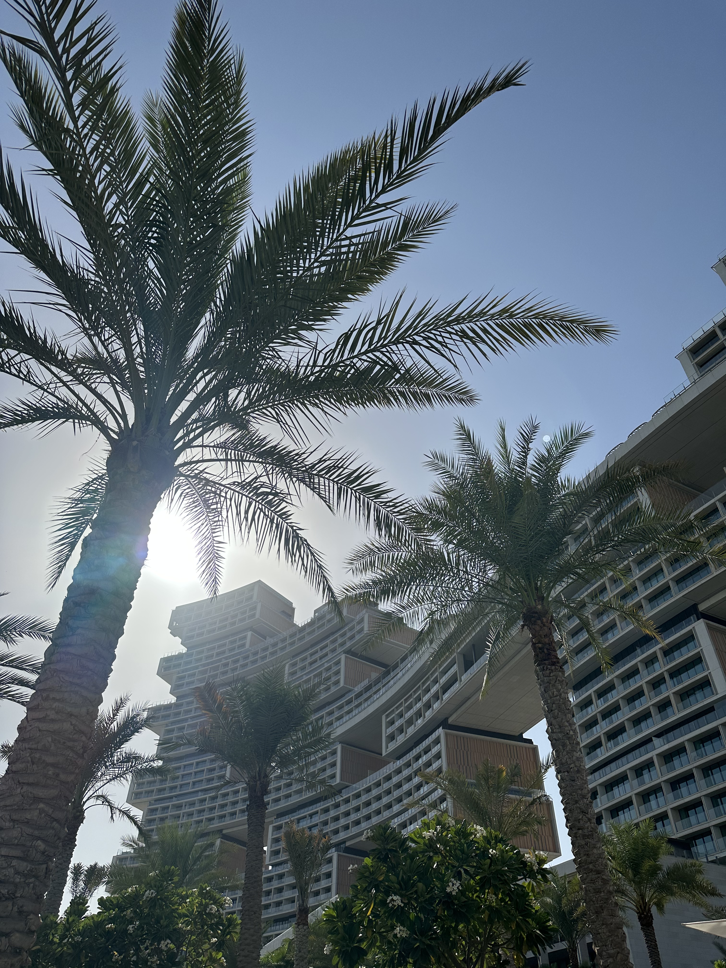 Tall palm trees in front of the Atlantis Royale, under a bright blue sky with the sun shining through the trees.