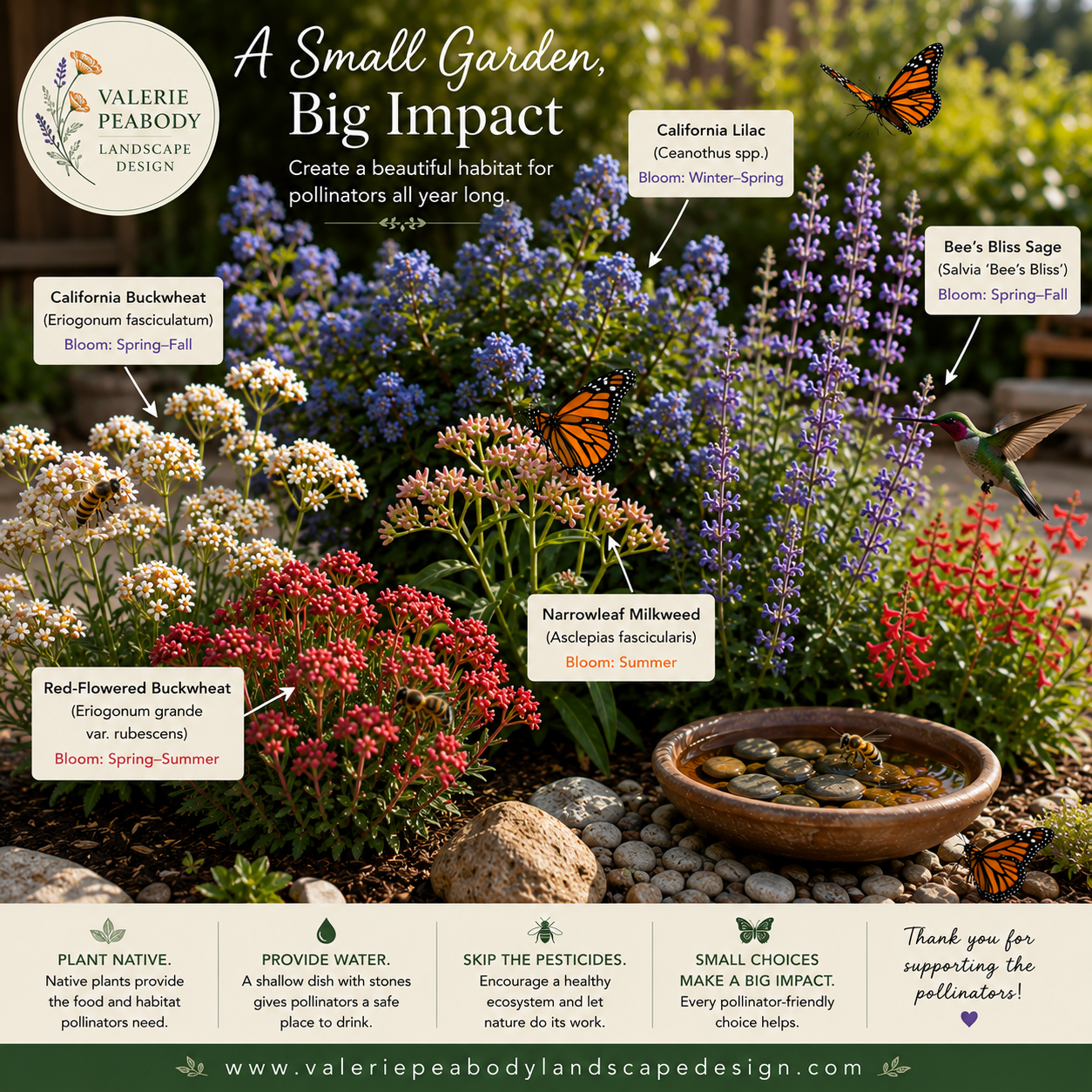 How to Build a Pollinator Garden in Southern California