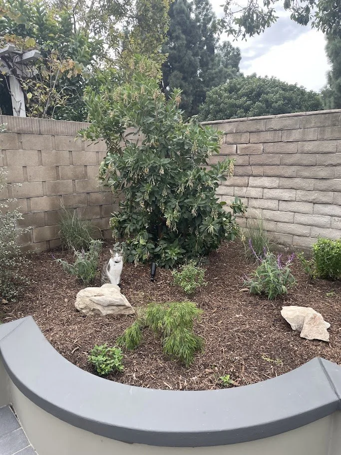 27 Fortuna Back Yard 2.jpg