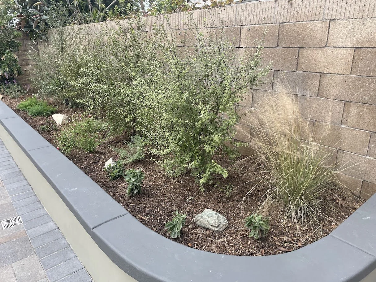 27 Fortuna Back Yard 3.jpg