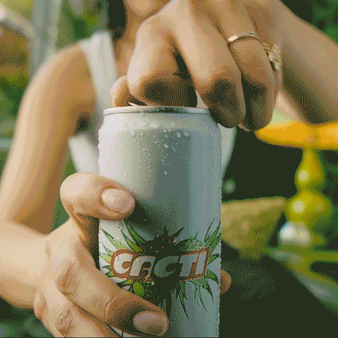 Cacti