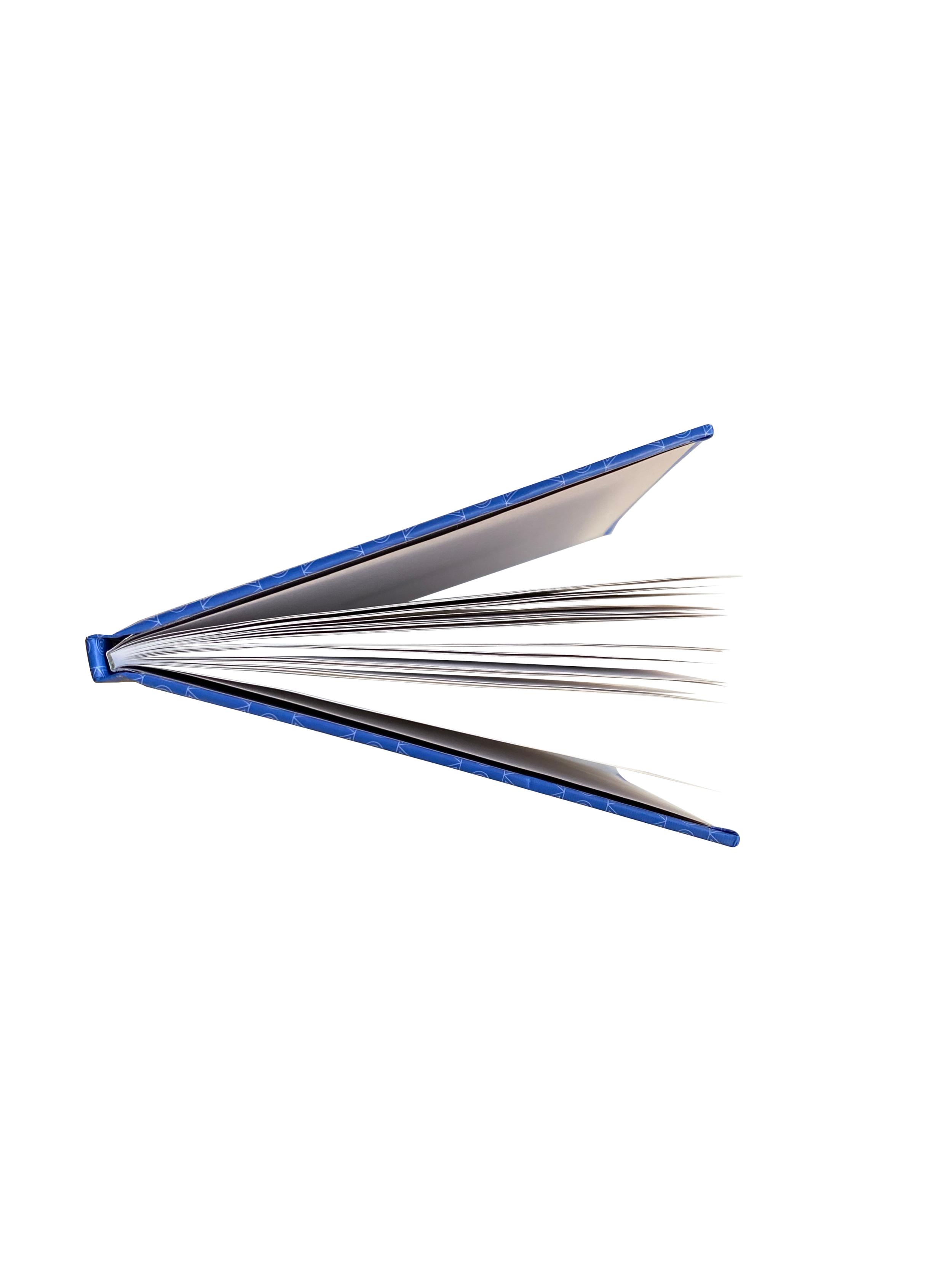 Seabass_BirdsEye_View.png
