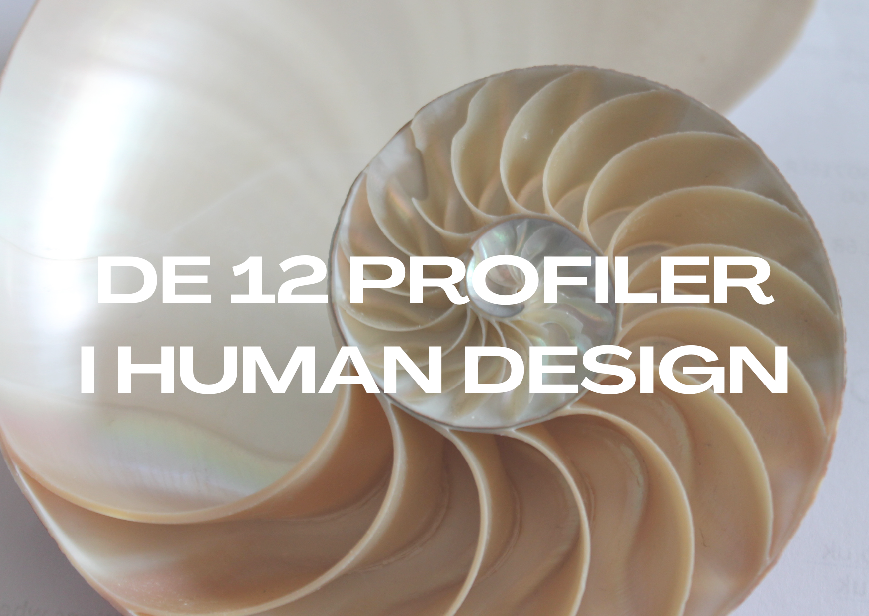 Hvad er en profil i Human Design?