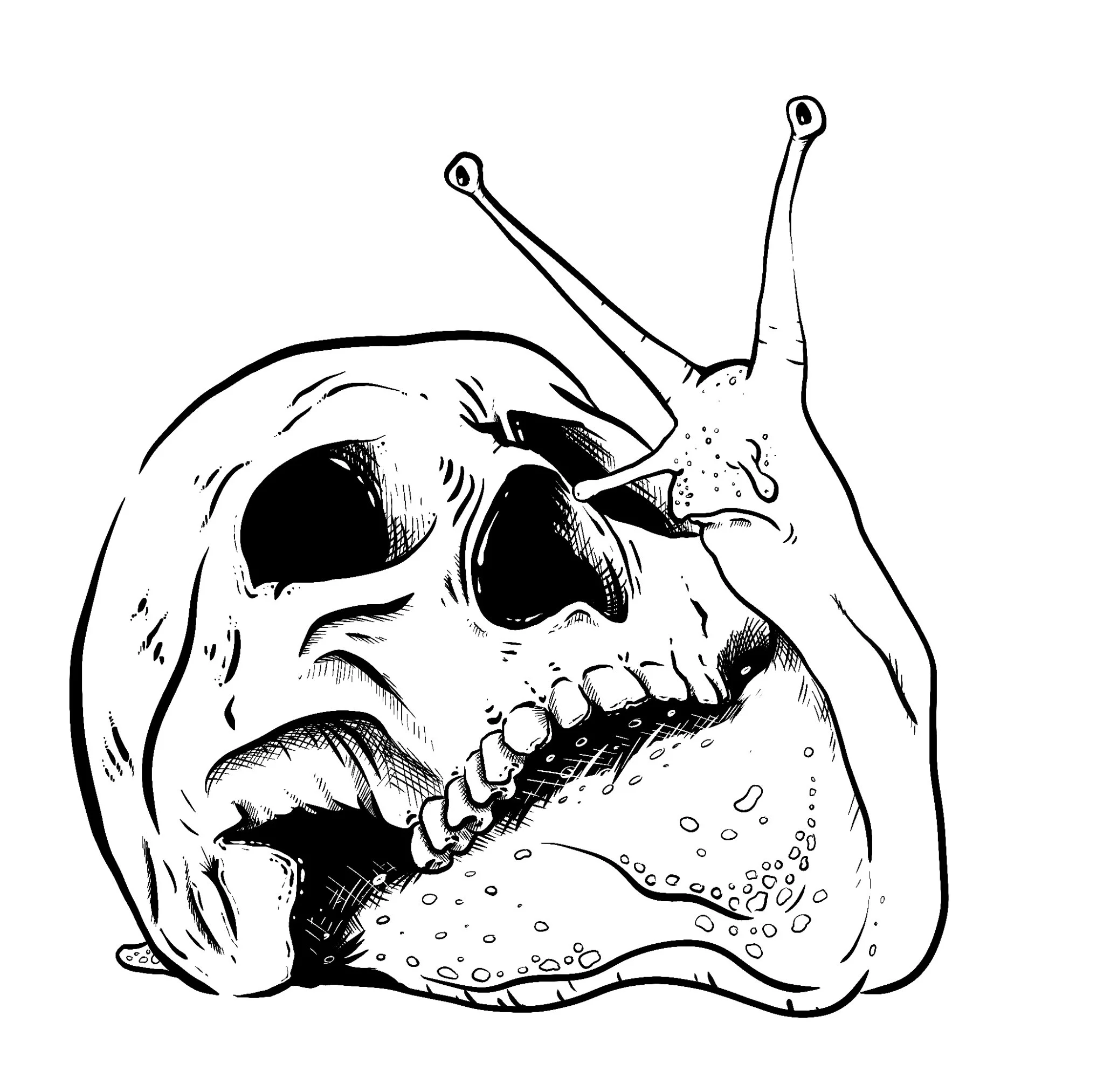OG Snull - Digital