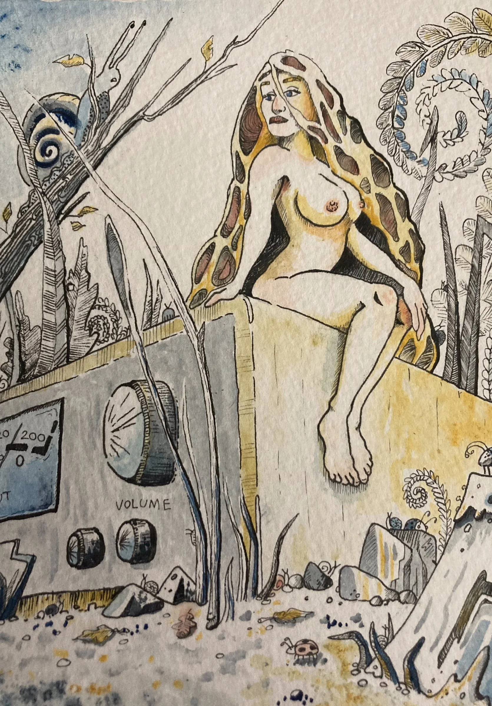 McIntosh - Pen and ink with watercolor