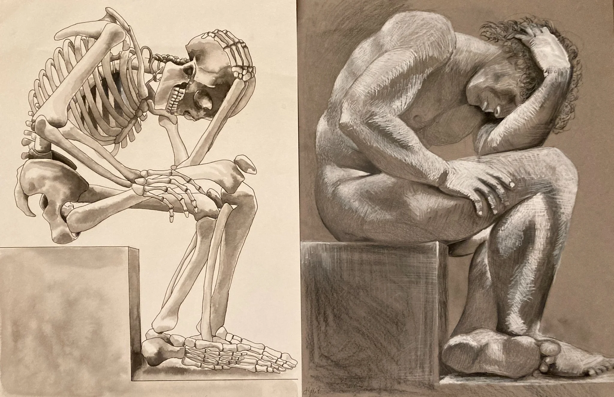 A master copy and study in skeletal structure - Inkwash and pastels