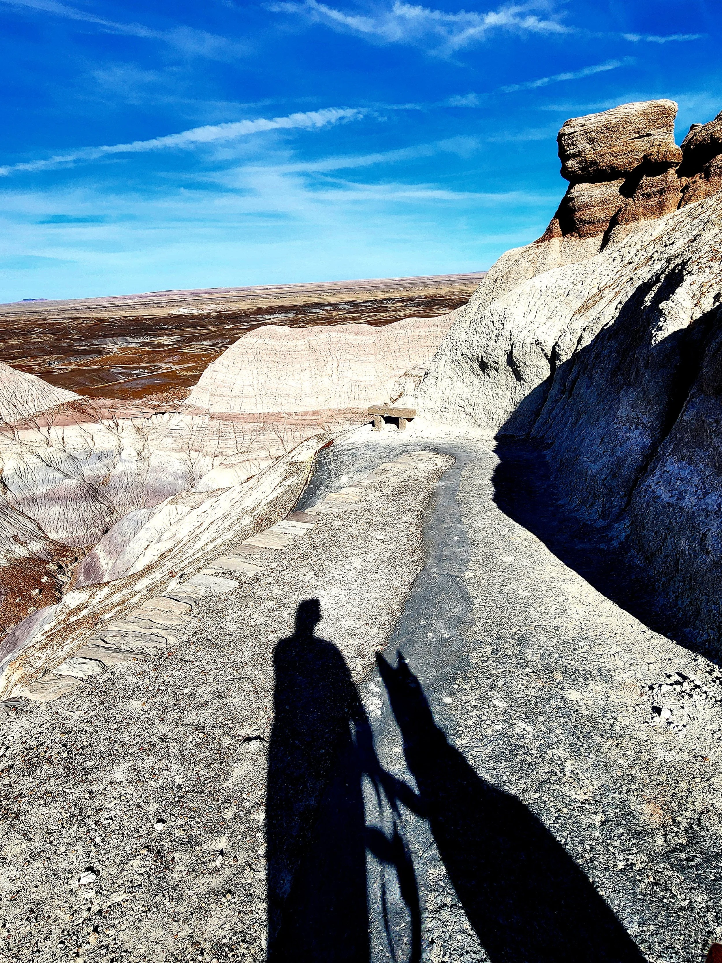 Amber Simpson, MBA-HCAD, MSW, LCSW-S