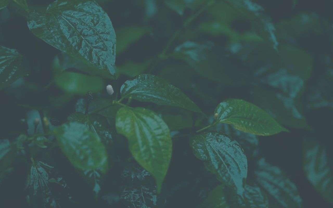 Modern Desktop Travel Website User Interface Prototype (9).png