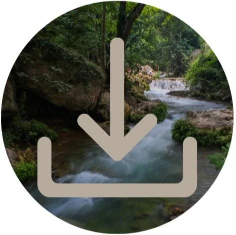 Eunoia Wellness Counseling