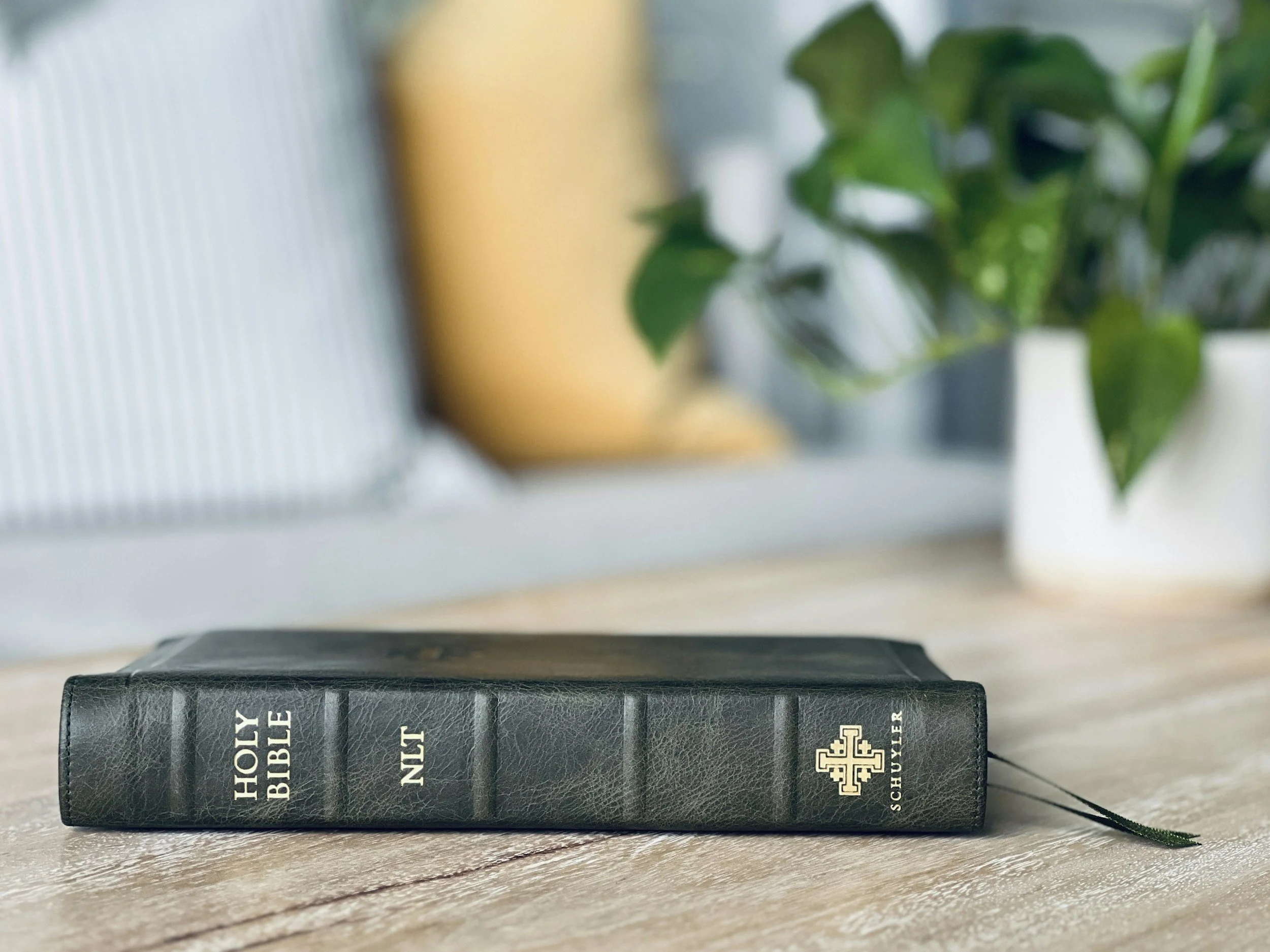 Bible representing faith, hope, and Scripture-informed Christian counseling through online therapy in Iowa.