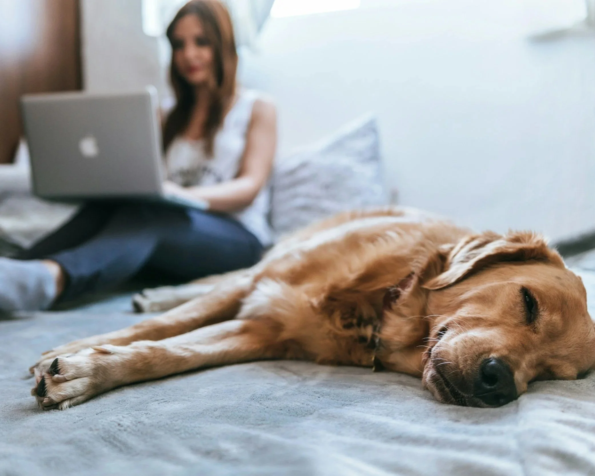 Person sitting on a bed with their dog while using a laptop for online grief counseling and virtual therapy in Iowa.