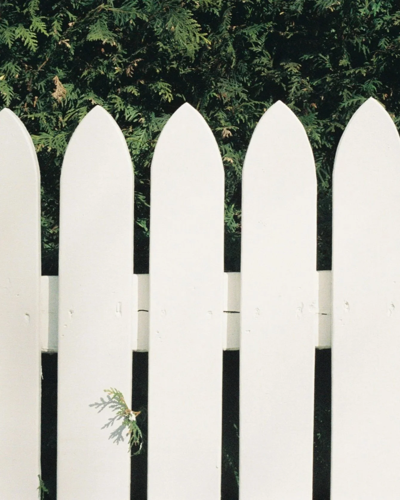 White picket fence symbolizing healthy boundaries, personal growth, and building strong, healthy relationships through online Christian therapy in Iowa.