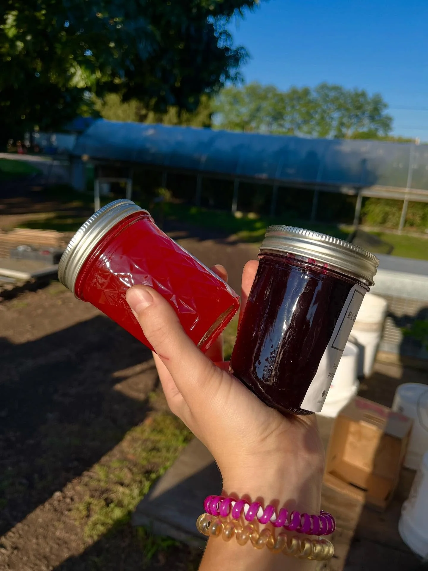 the farm recently got its cottage food license, which means we are able to sell baked/canned goods that we produce! this week we have watermelon jelly, elderberry jelly, apple jelly, habanero jam, apple butter, pasta sauce, zucchini bread, and chocol