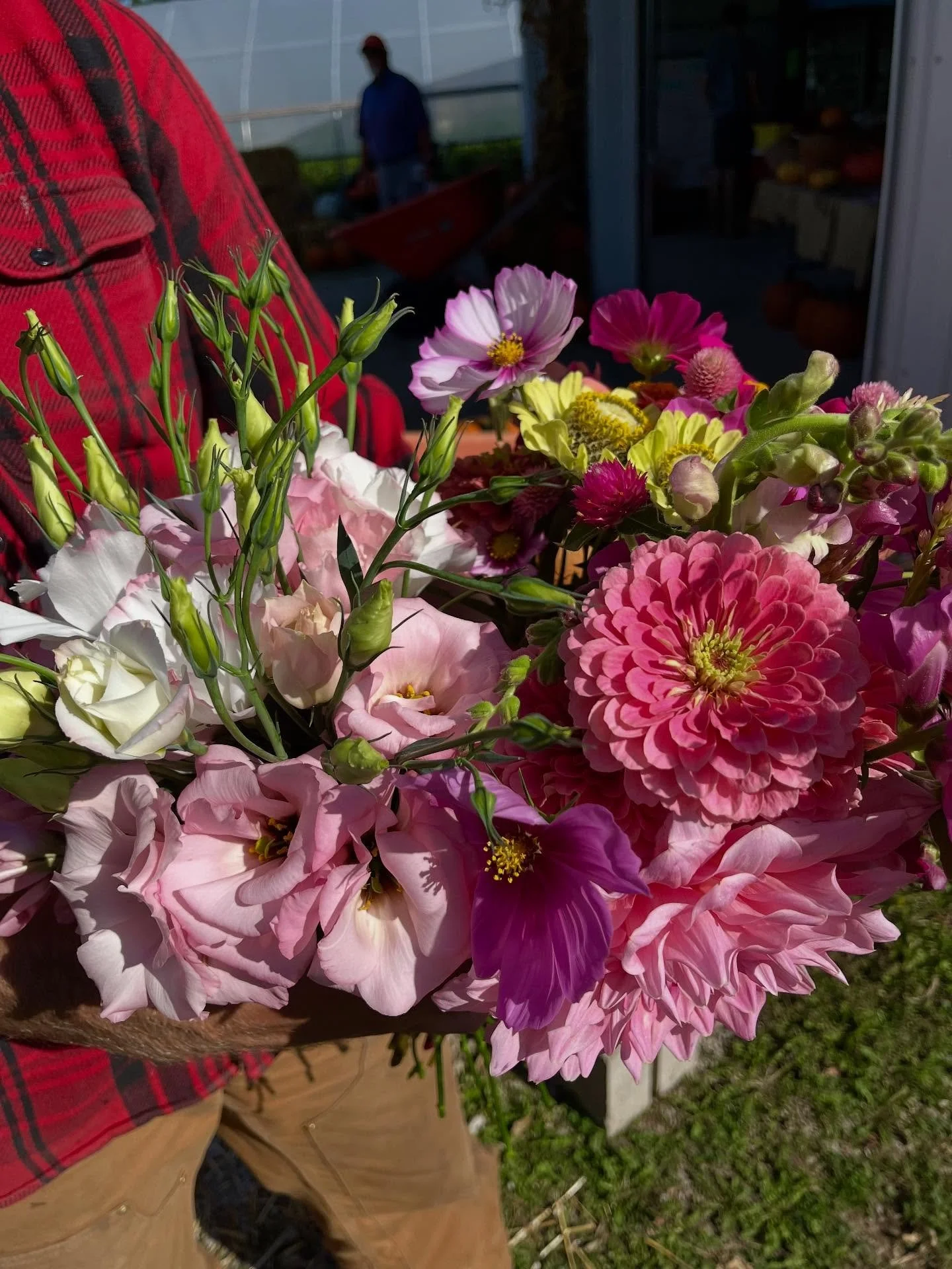 happy sunday! we have beautiful bouquets of flowers grown right here on the farm, and we have started filling one of our high tunnels with pumpkins for our own little pumpkin patch!🎃 customers are welcome to come into the tunnel and pick their own p