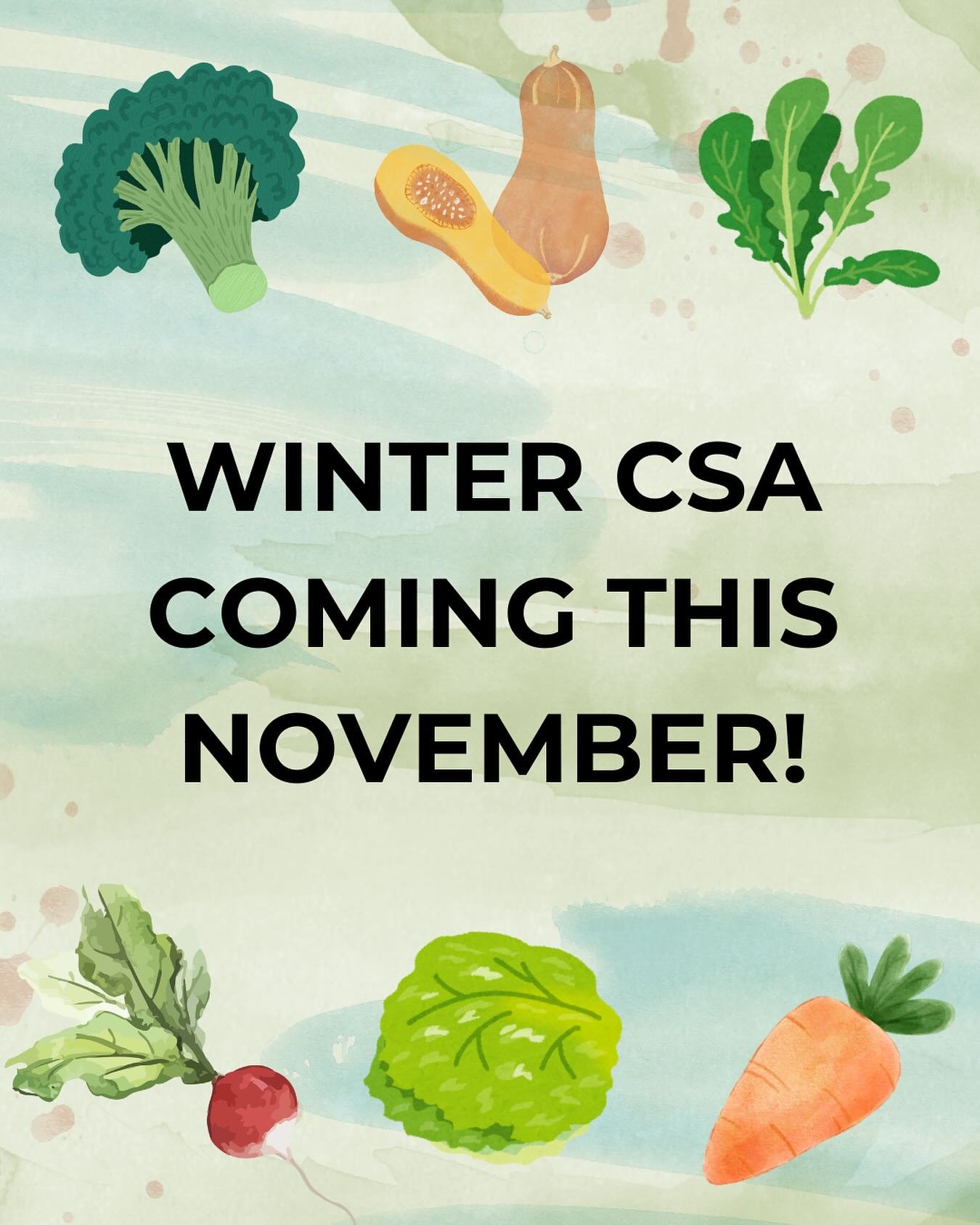 Registration is now open for our Winter CSA! See our website www.millstreetproduce.com for details on how to sign up or sign up in our farmstand. 

- Pickups will be 4pm-5:30pm on Mondays in November
- 4 pickups total via our farmstand
- Expect 6-10 
