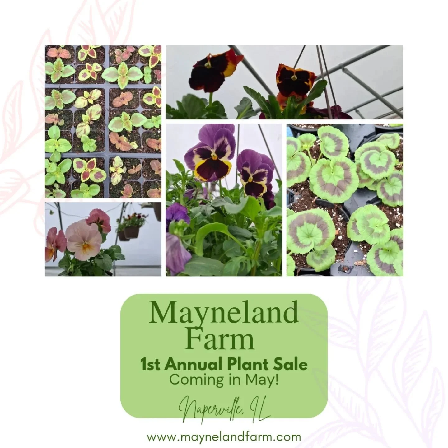 Get your garden gloves ready! 🧤✨
Our Annual Spring Plant Sale is just around the corner! Whether you&rsquo;re looking for stunning pre-made flower containers to brighten your porch or hardy veggie starts to kickstart your garden, we&rsquo;ve got you