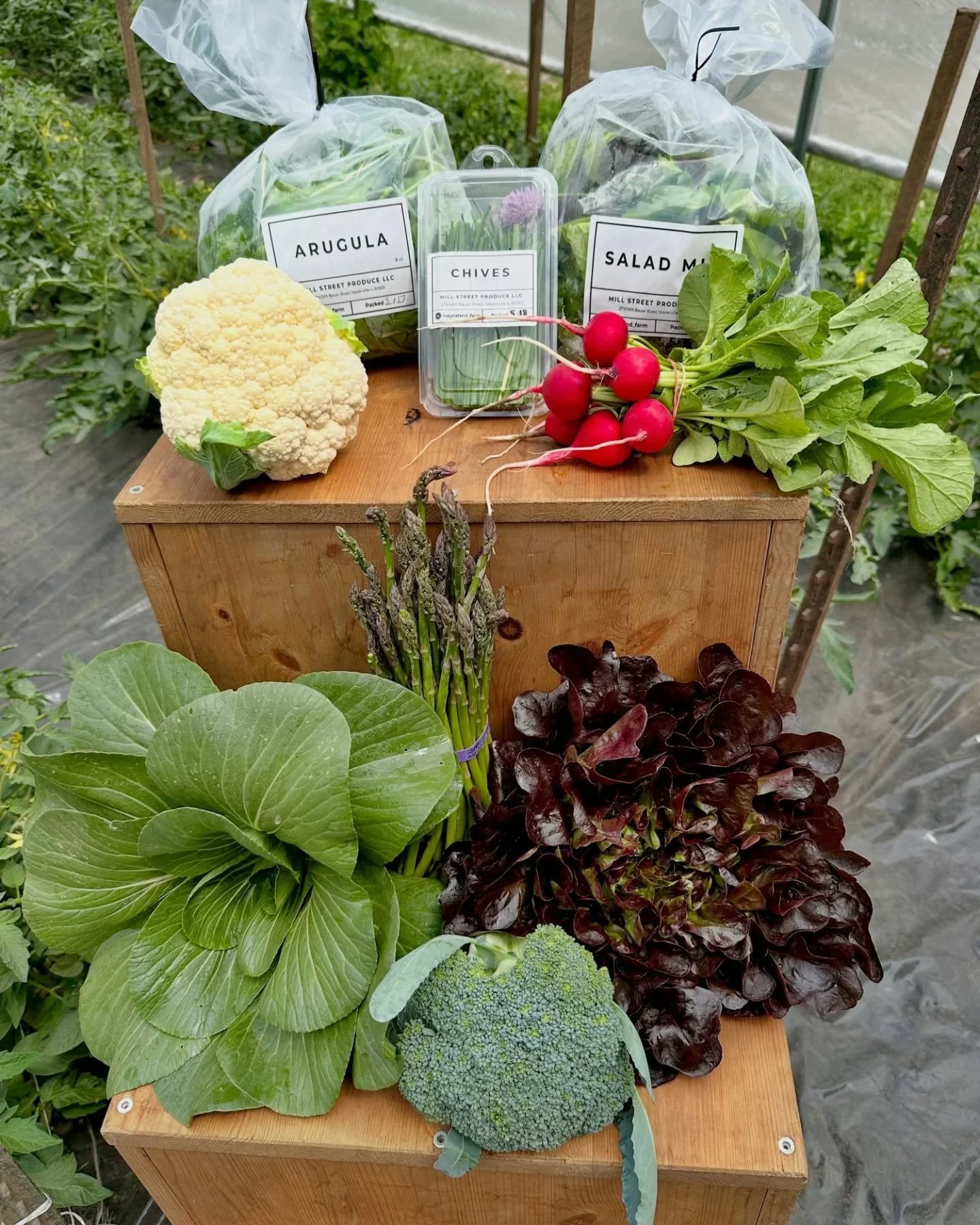 Spring CSA Registration is Now Open! 
When: Pickup will be from 4pm to 5:30pm on Thursdays. There will be 5 pickups starting April 9th. (4/9, 4/16, 4/23, 4/30, 5/7)

Where: Pickup will be at our Farmstand at 27W265 Bauer Road in Naperville, IL 60563
