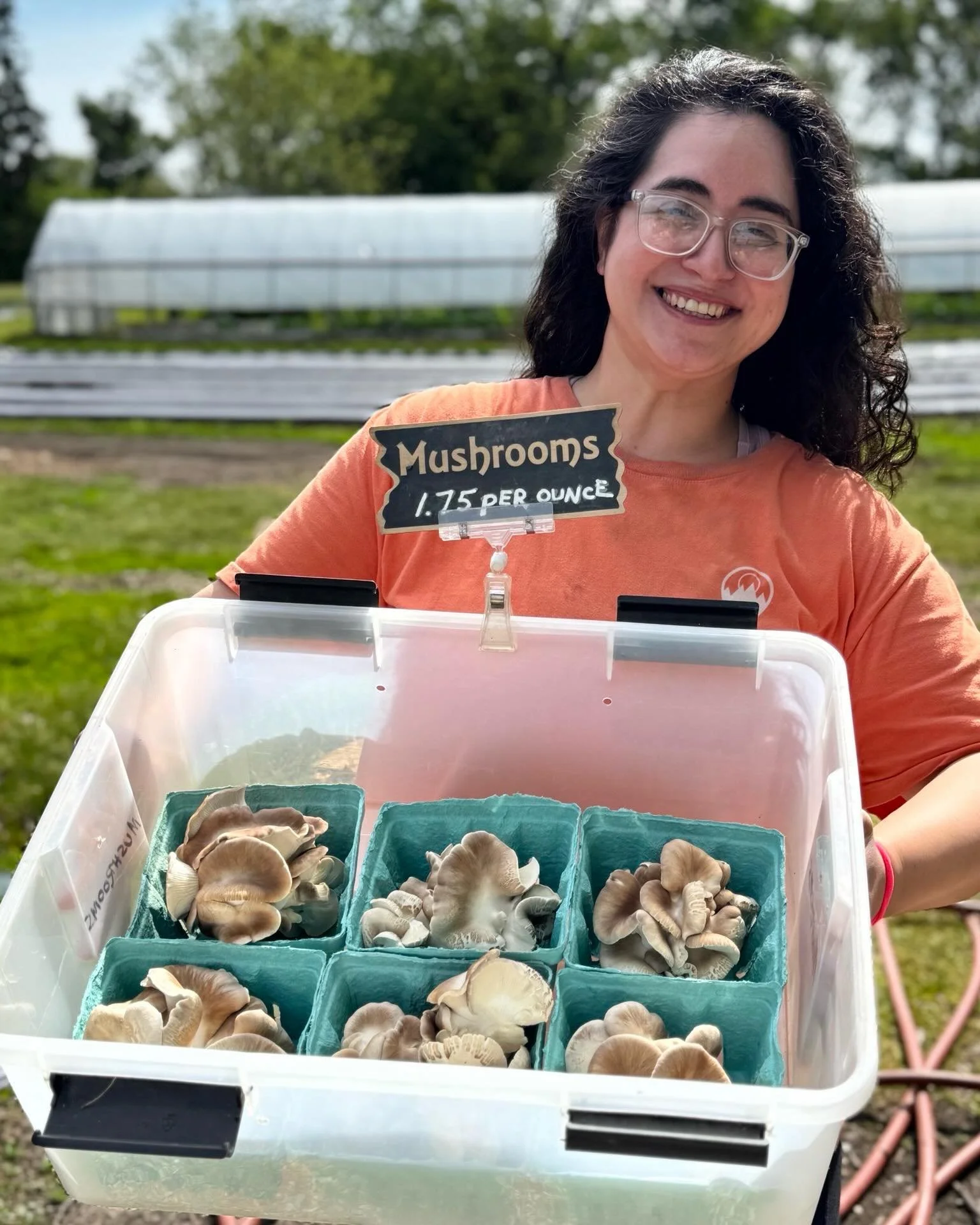 We harvested our first flush of mushrooms this morning! Italian oysters hit the shelves today. We&rsquo;ll have more Italian oysters, lions mane, and king oyster mushrooms coming soon! 🍄&zwj;🟫 

As a reminder, our hours are:

Saturday and Sunday: 9
