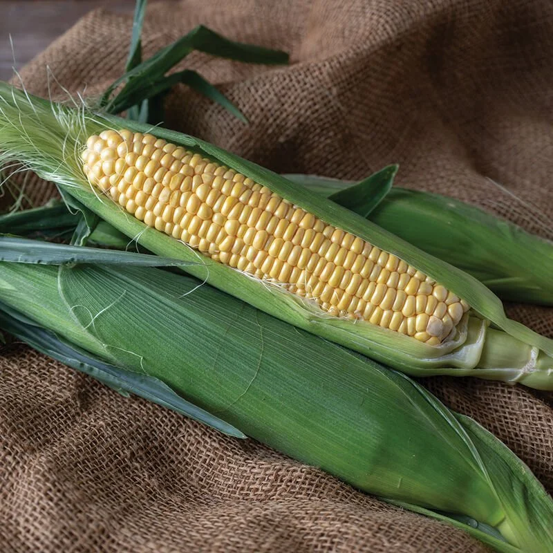Mill Street Produce LLC